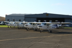 Line-up of Cessna 172s